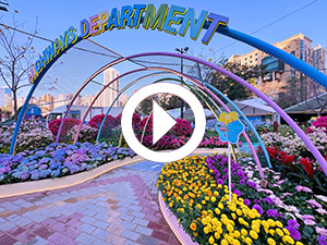 Hong Kong Flower Show 2024: Enchanted Journey - Joyful Inheritance